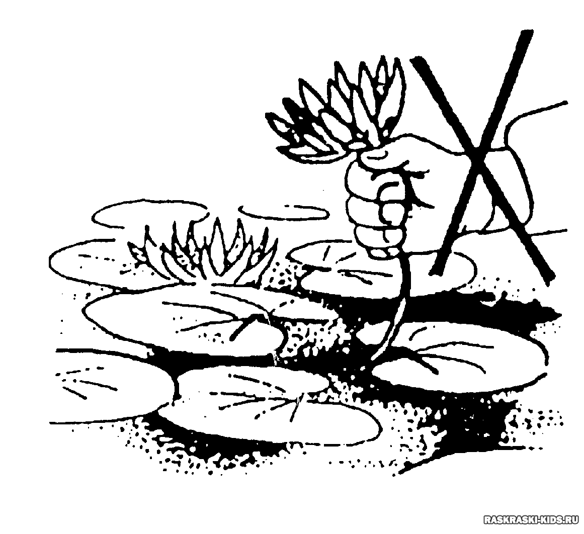 Экология раскраска для детей