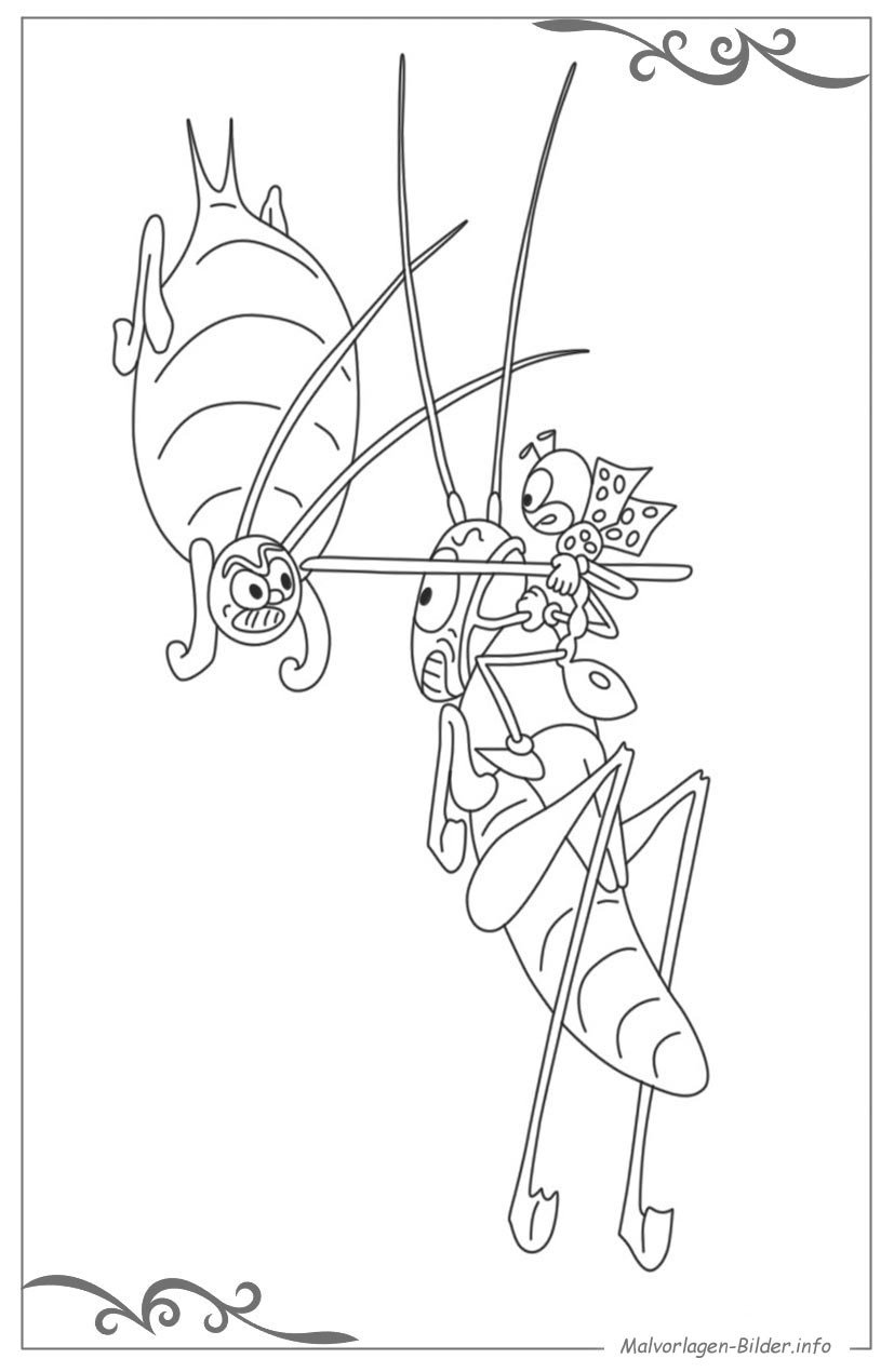 Бианки приключения муравьишки раскраска