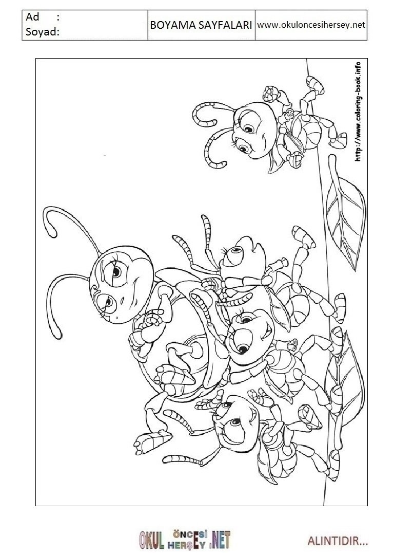 Бианки как муравьишка домой спешил раскраска