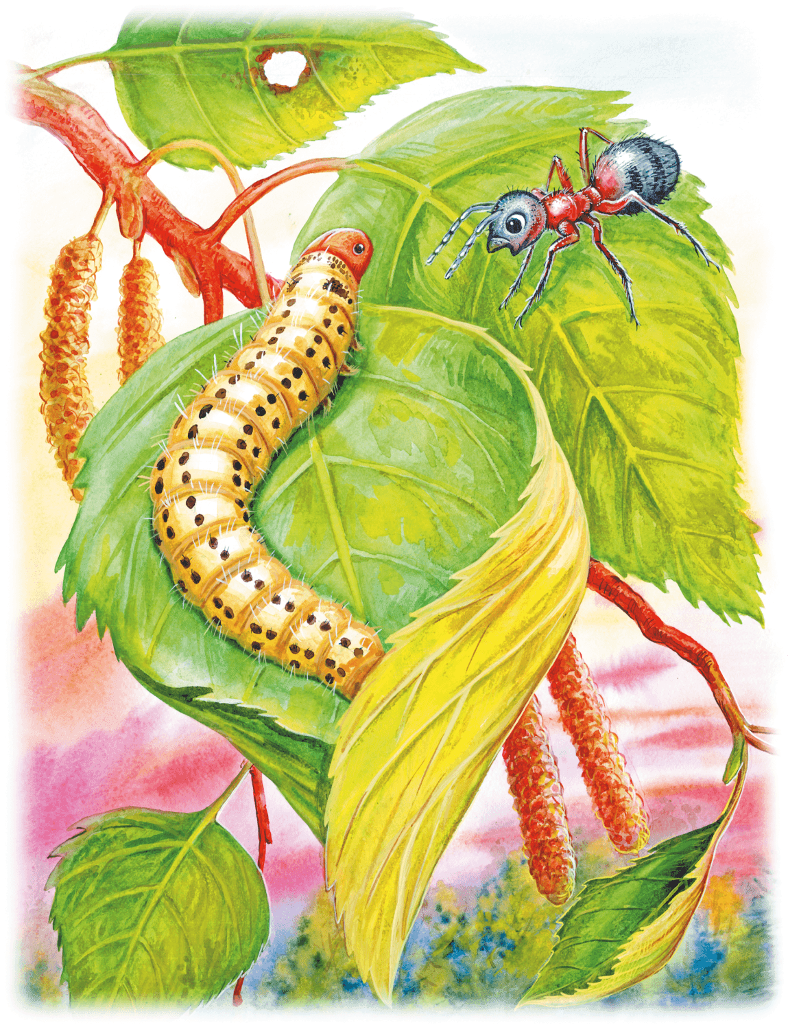 Жучок блошачок Бианки