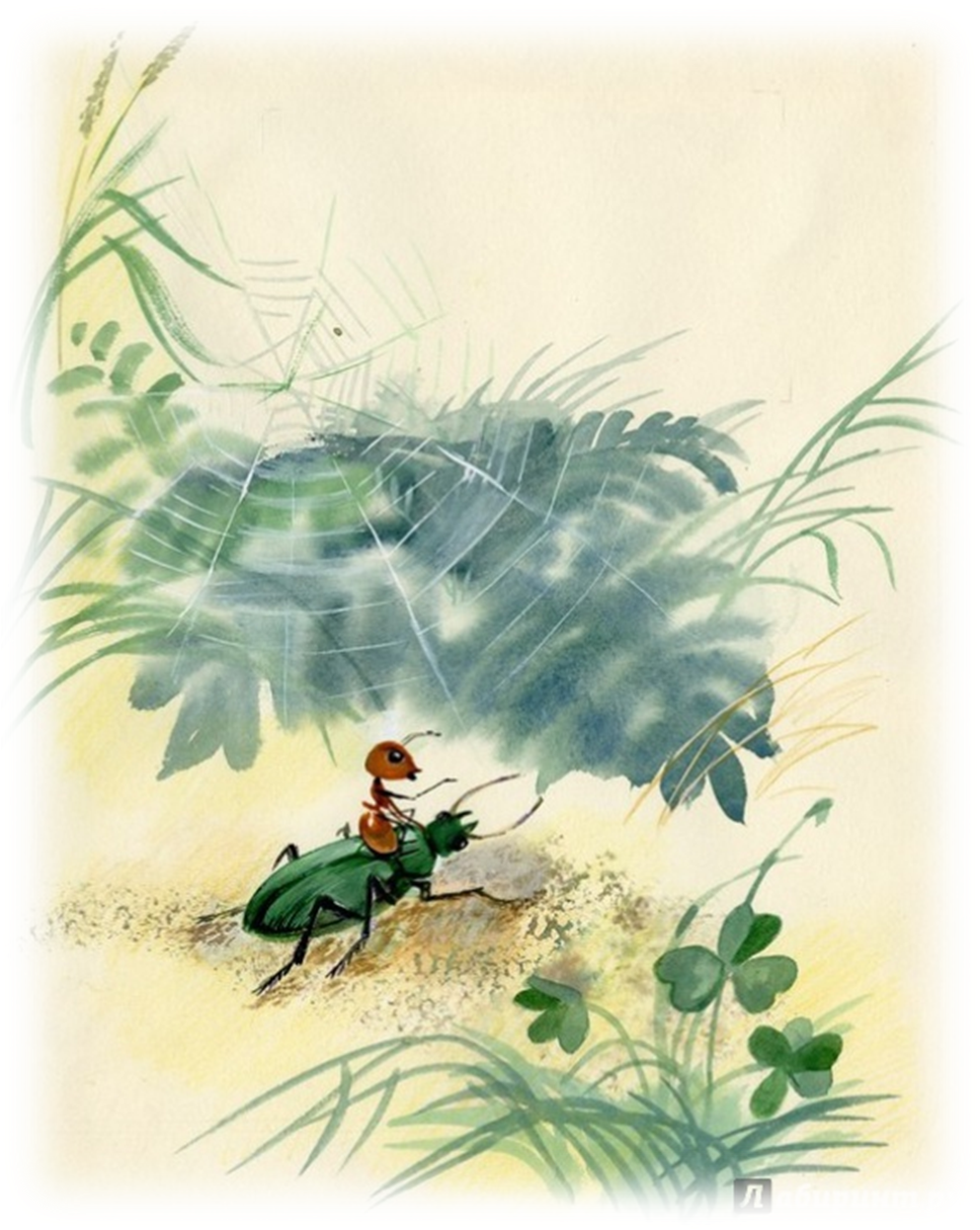 Виталий Бианки приключения муравьишки