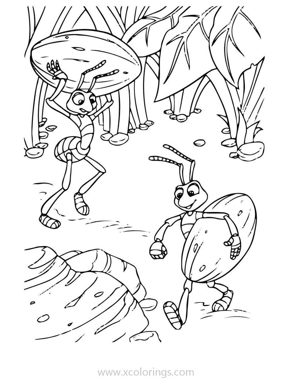 Сказка Бианки про муравьишку