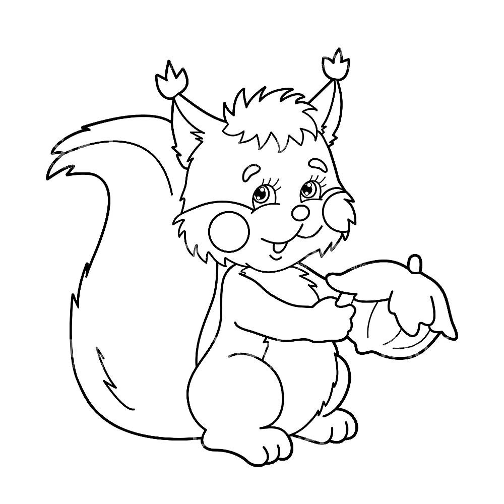 Белка раскраска для детей