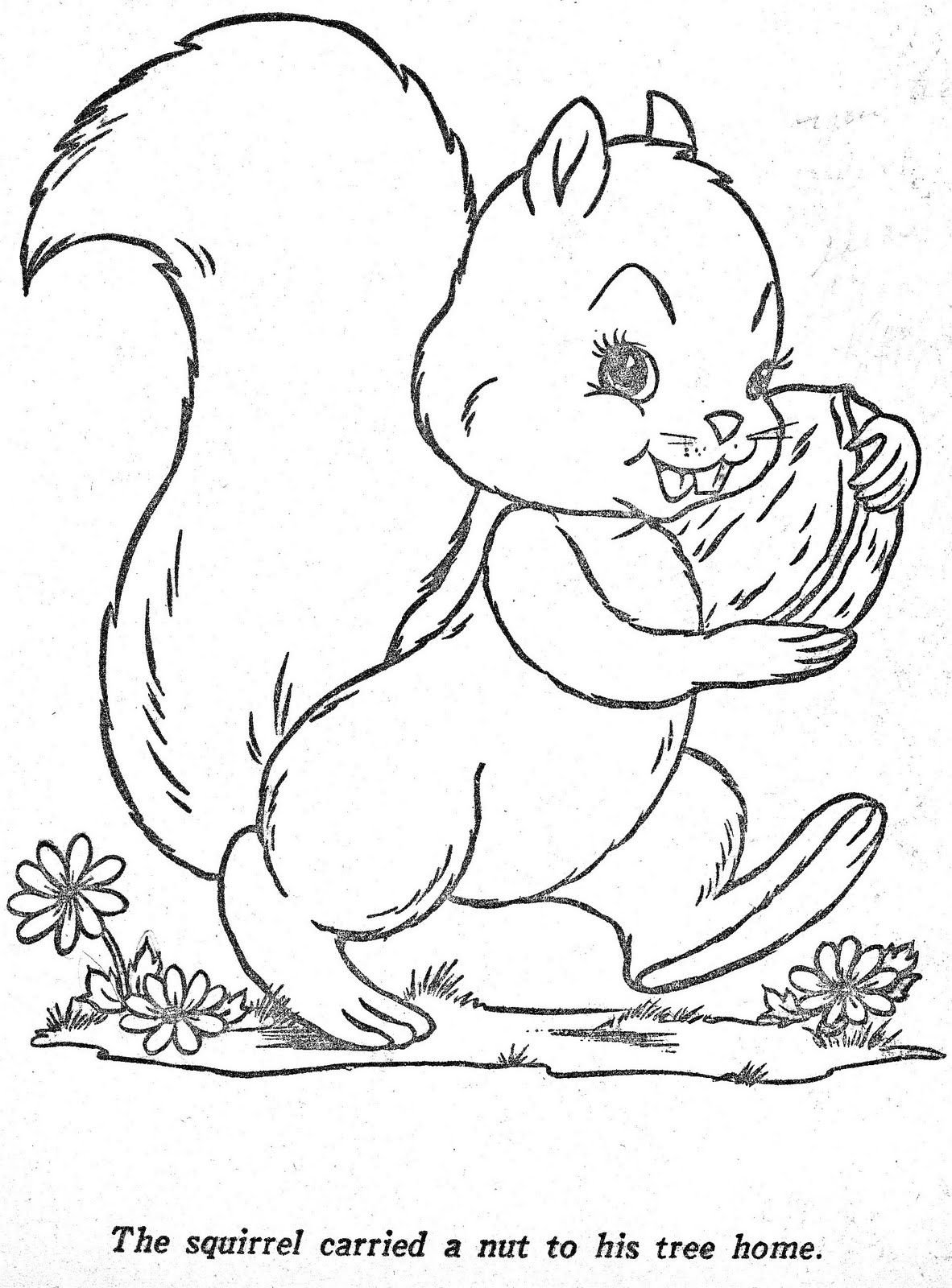 Раскраска Белочка с грибом