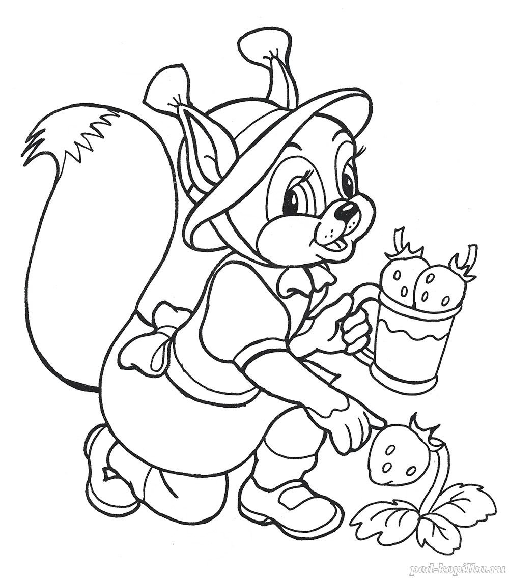 Белочка раскраска для детей