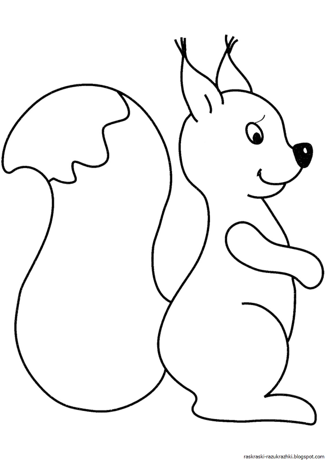 Белочка и грибы для детей