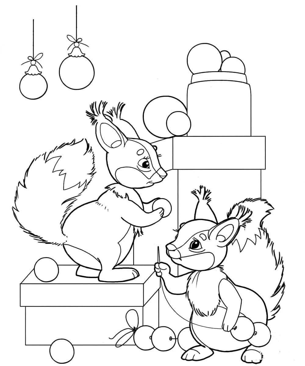 Белка на ветке раскраска