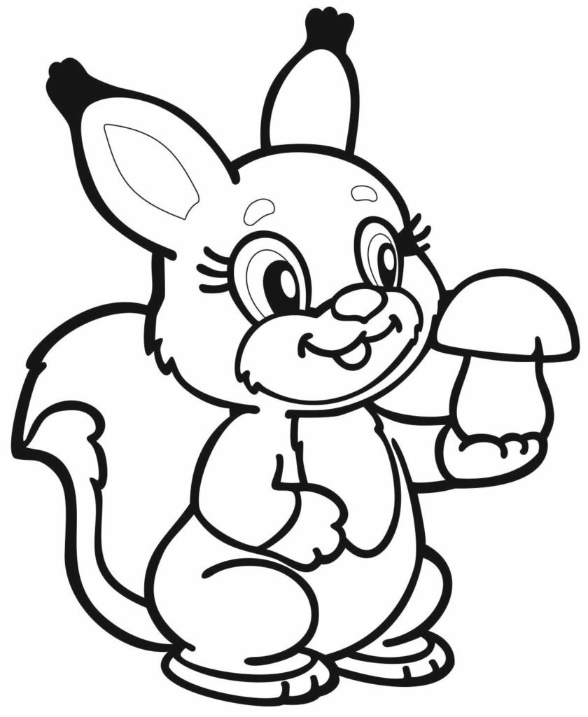 Белка раскраска для детей