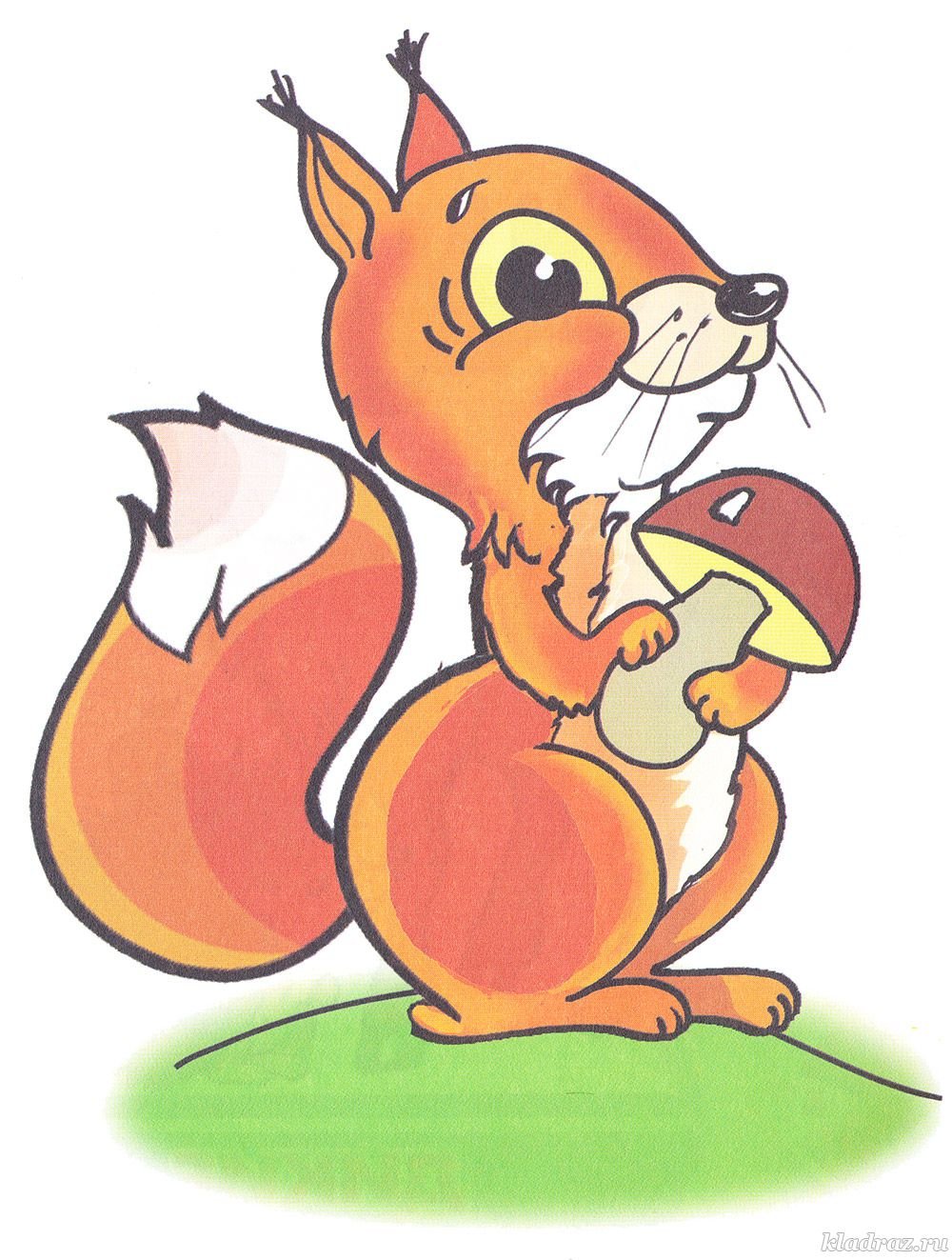 Раскраска Белочка