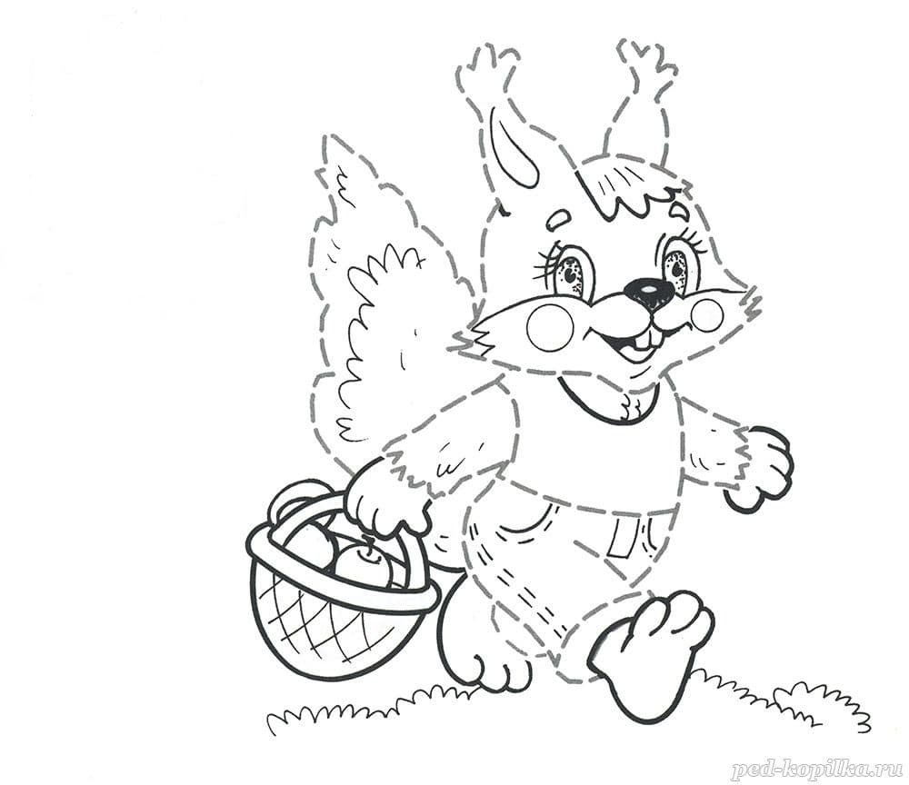 Раскраска Белочка с грибом