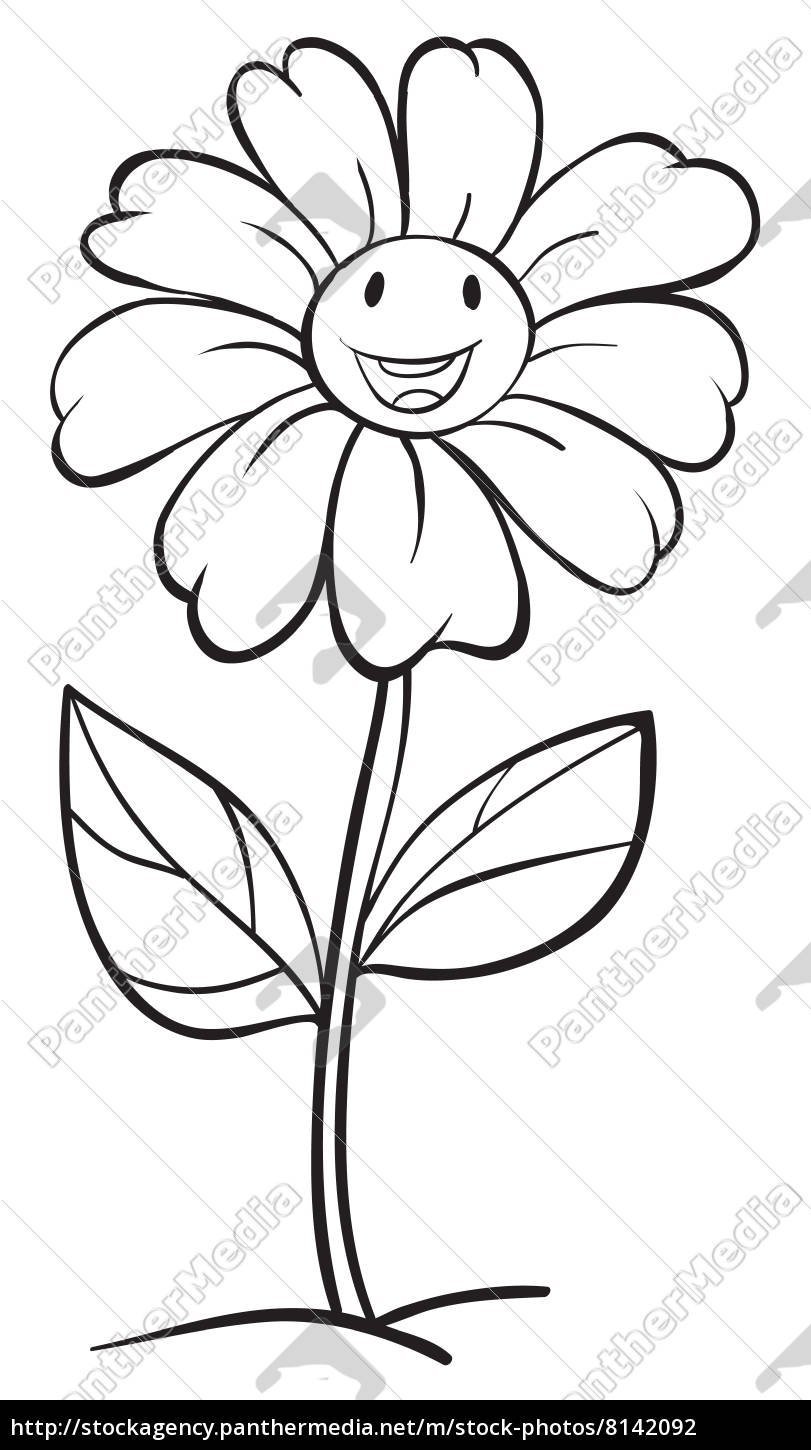 Рисование по точкам цветы