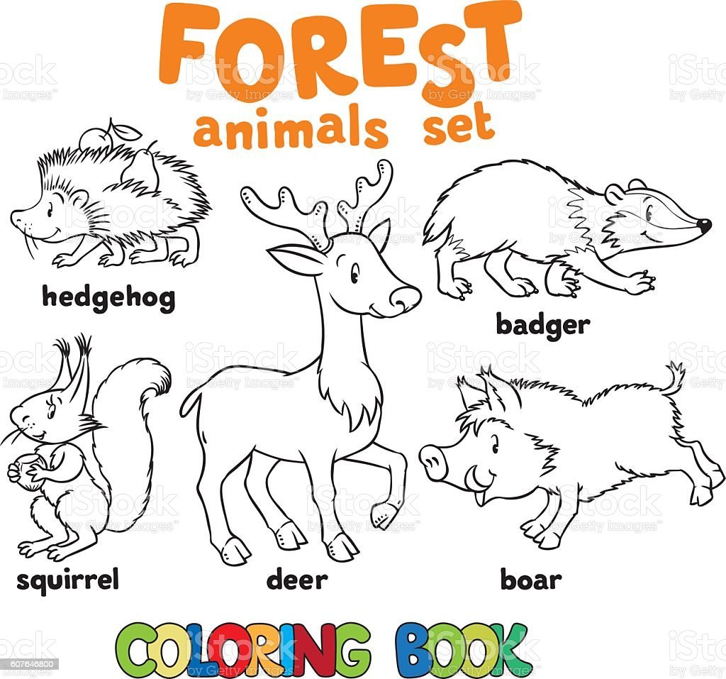 Лесные животные задания на английском