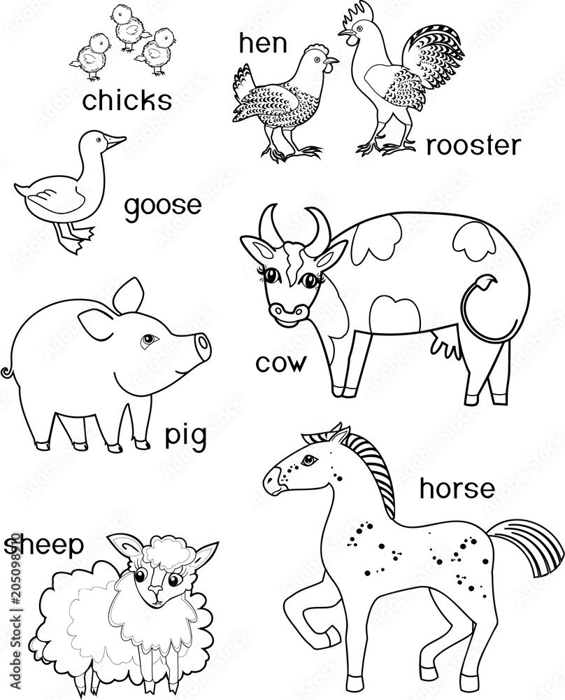 Домашние животные на английском раскраска