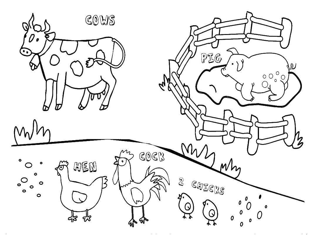 Раскраска животные на ферме