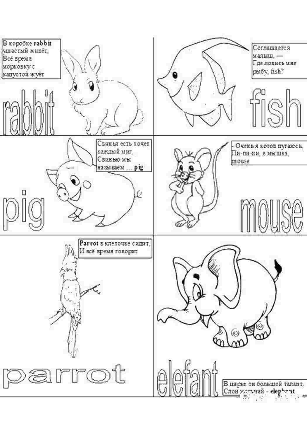 Животные на английском для детей раскраска