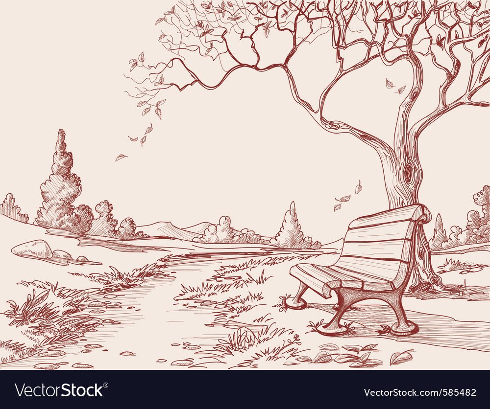 Раскраска парка