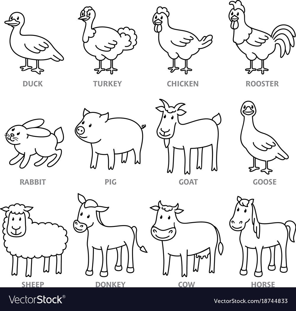 Lets go to the Zoo раскраска