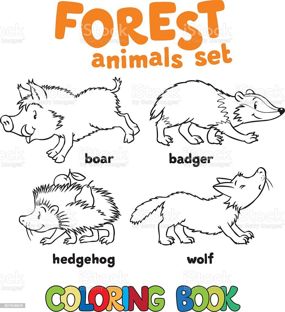 Животные на английском раскраска