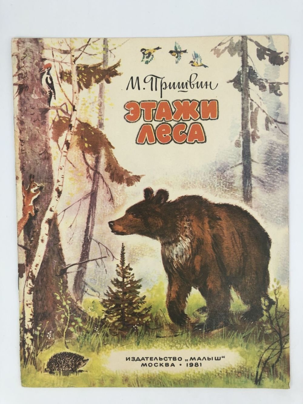 М пришвин этажи леса иллюстрации
