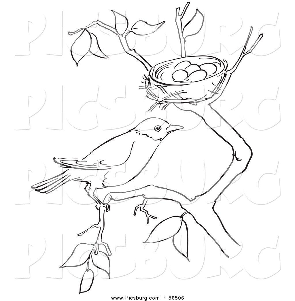 Раскраска птицы в гнезде на дереве