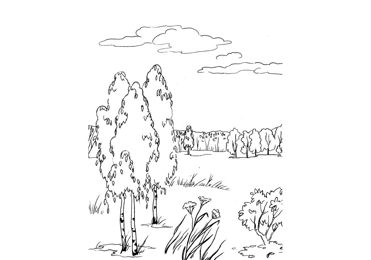 Русская природа раскраска