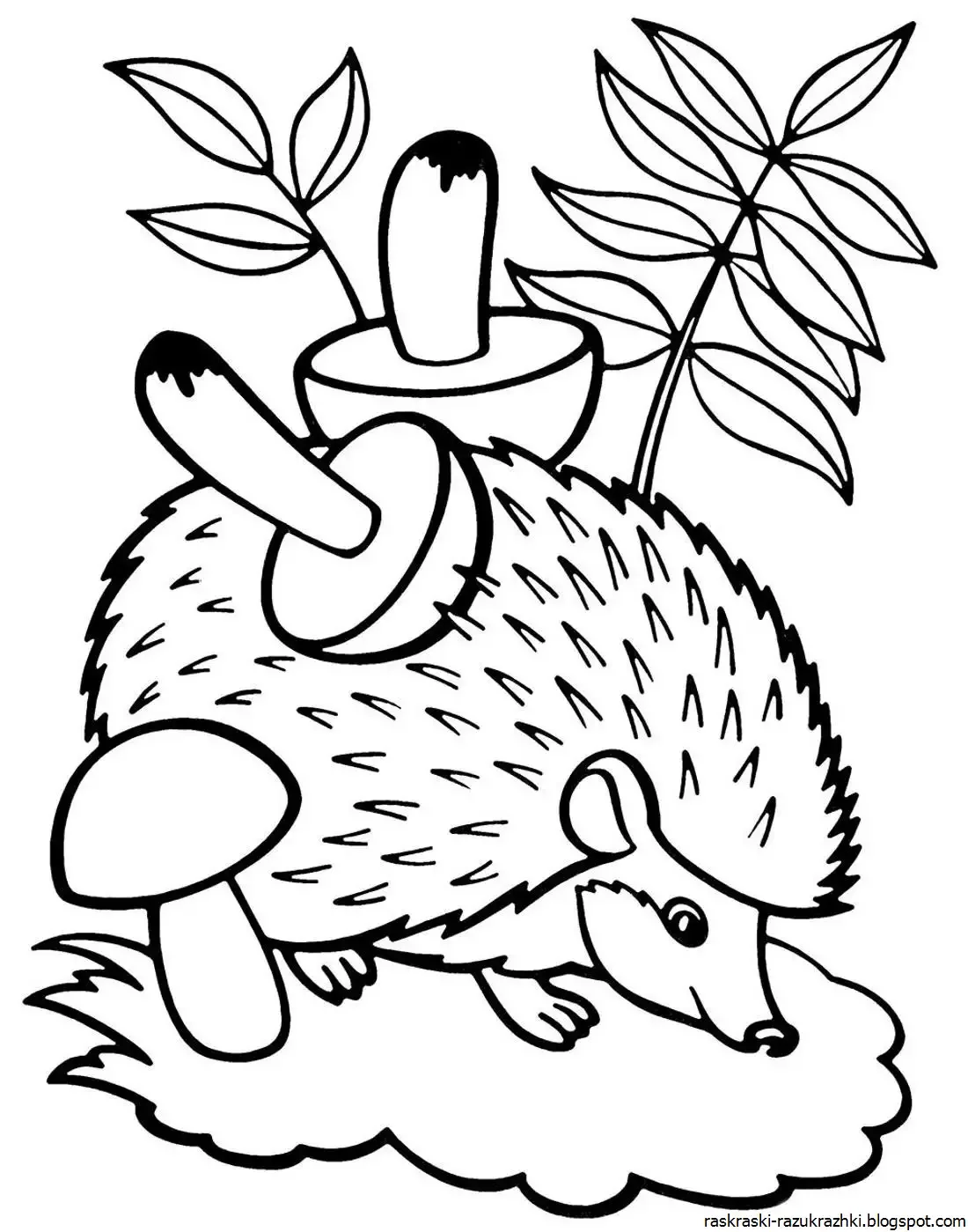 Ежик с корзинкой раскраска