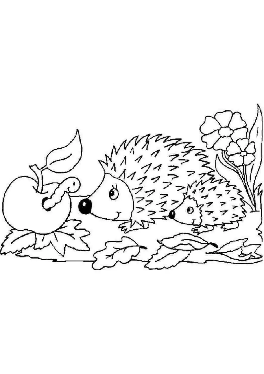 Ежик с корзинкой раскраска