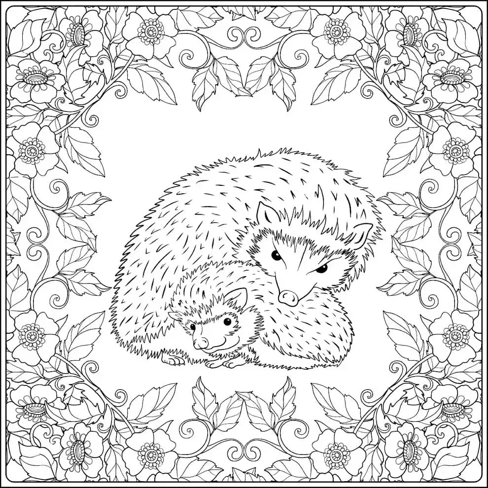 Семья ежей раскраска