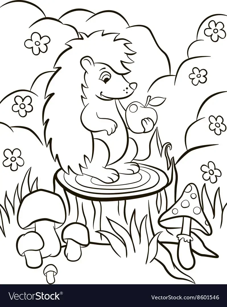 Ежик с корзинкой для раскрашивания