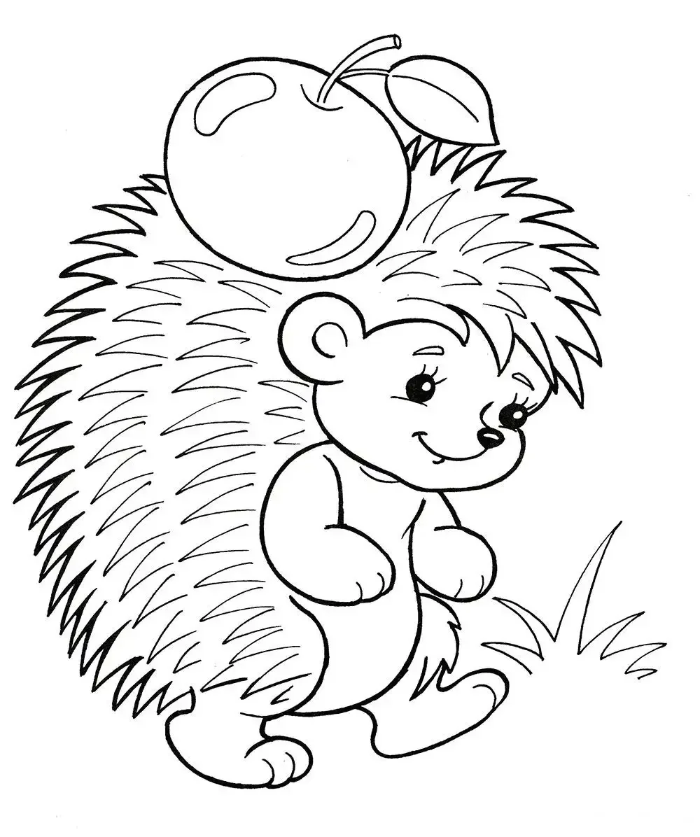 Раскраска еж с яблоком