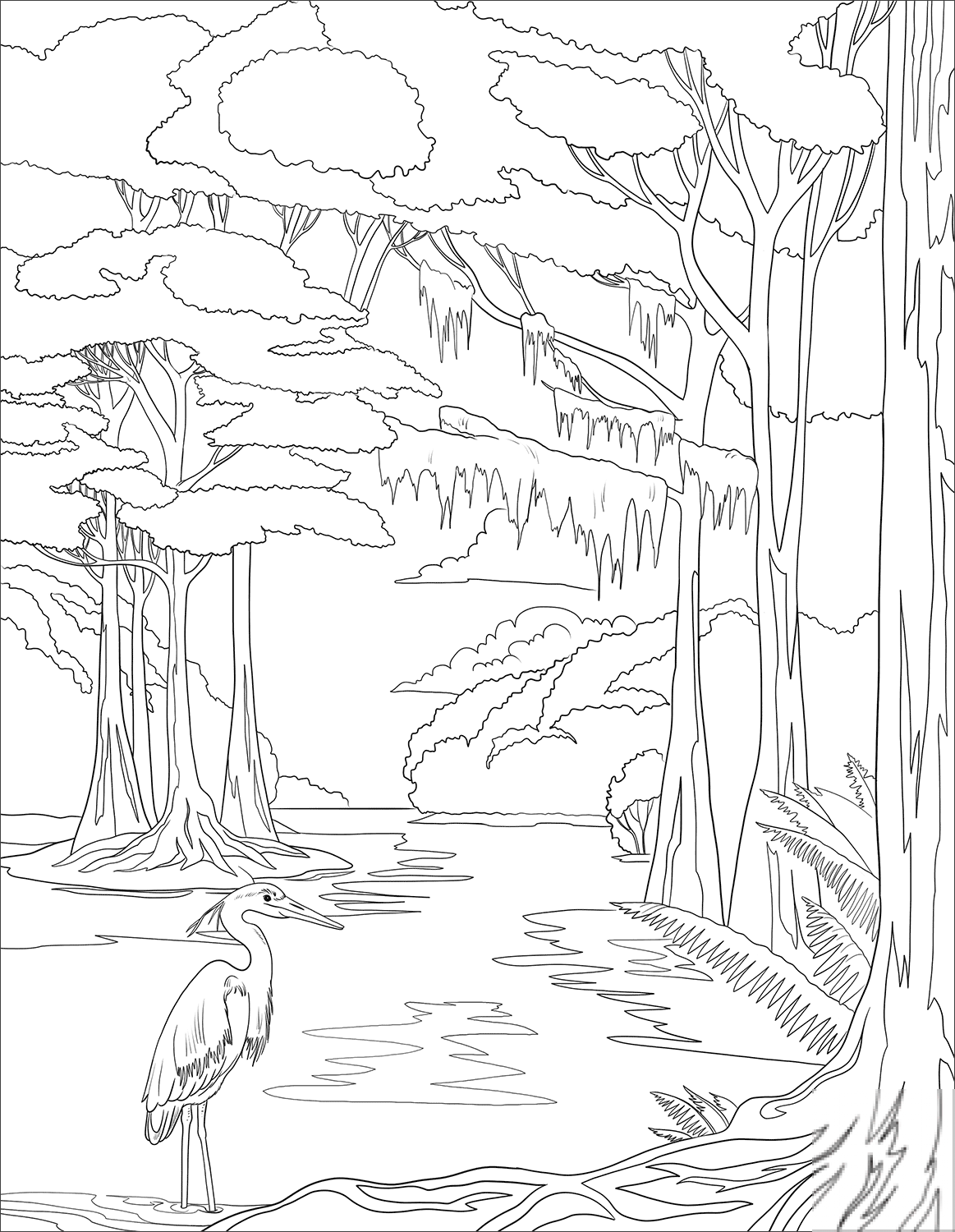 Раскраска карелия