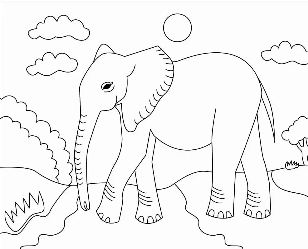 Раскраска в. Дуров «слон бэби»