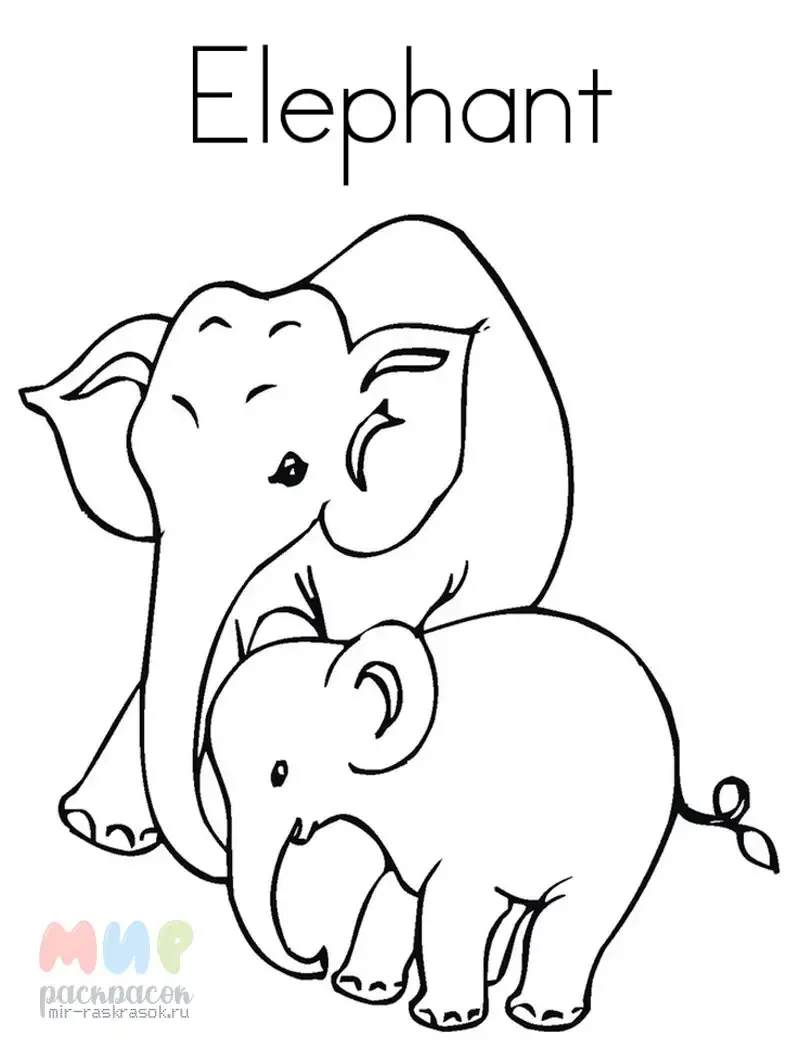 Раскраска Африканский слон