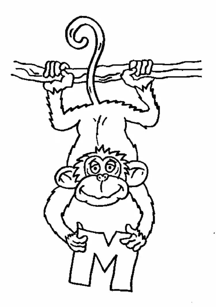 Слон с дрессировщиком рисунок