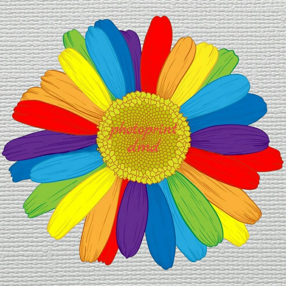 Буква о в ромашке раскраска