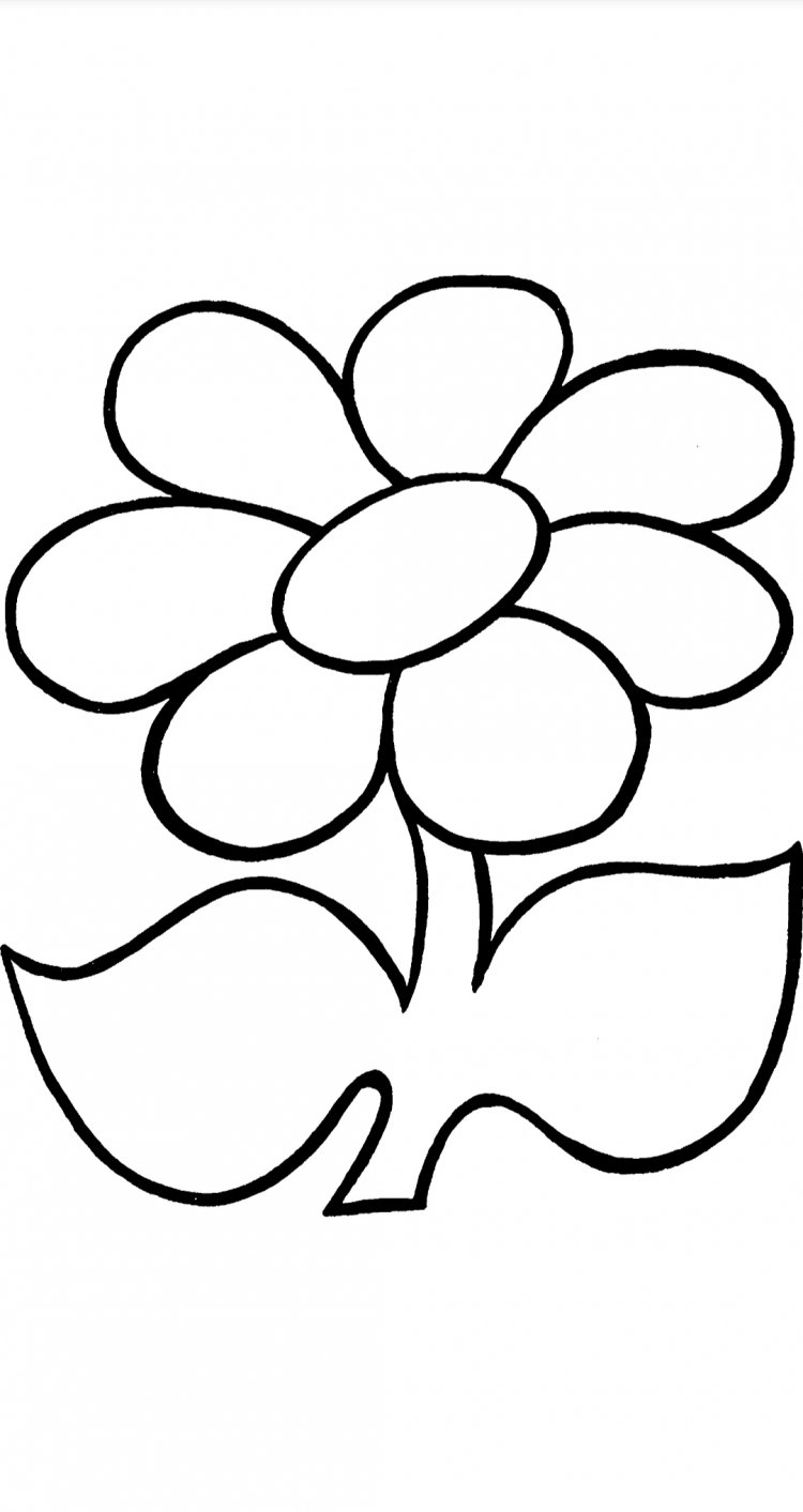 Раскраска семицветик