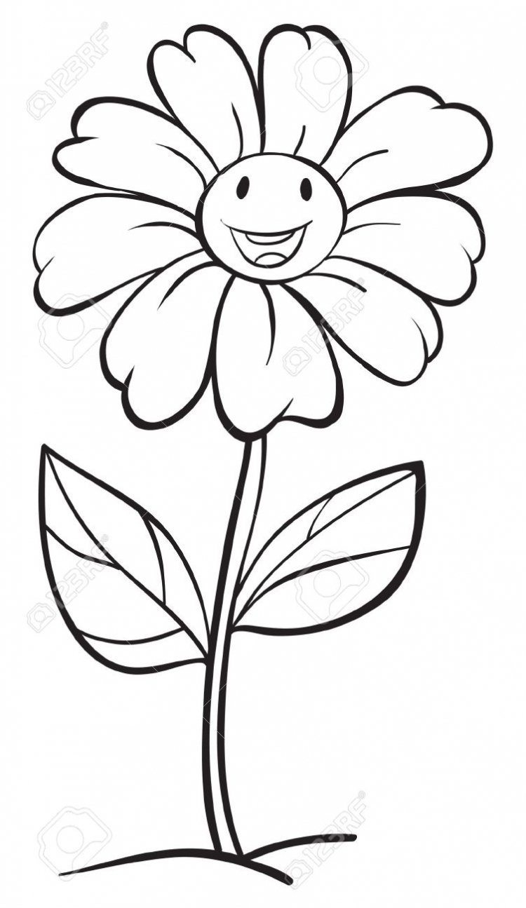 Раскраска цветочек