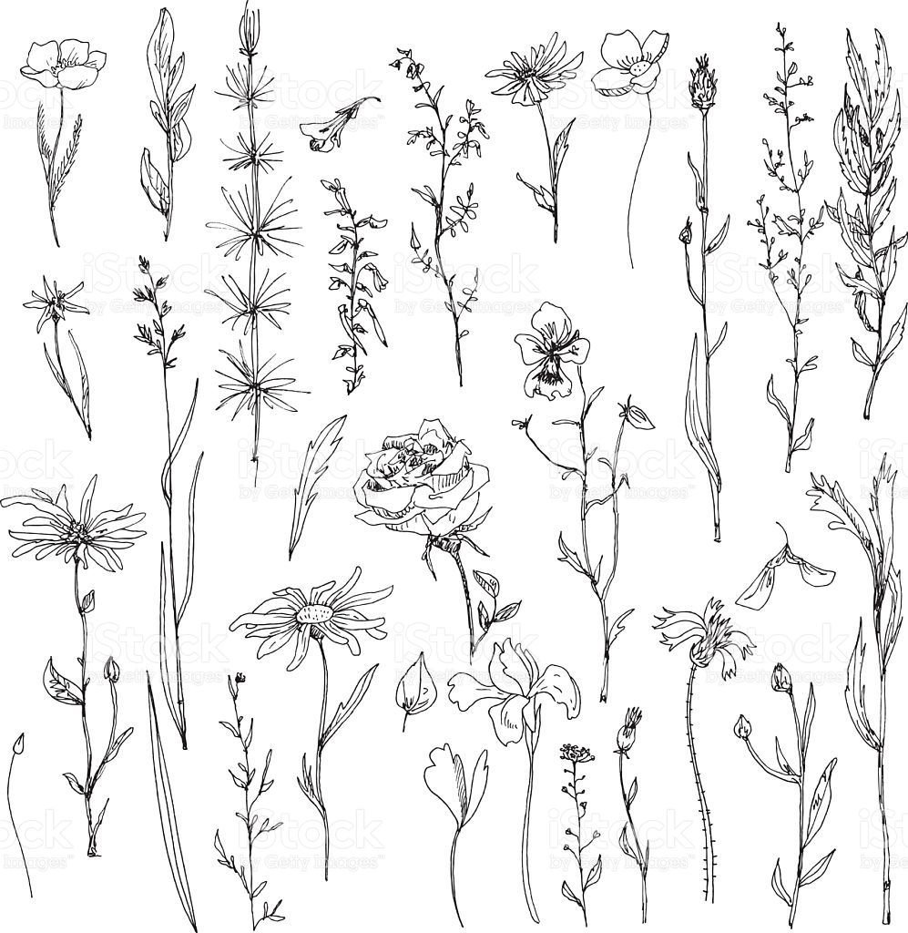 Топографический набросок