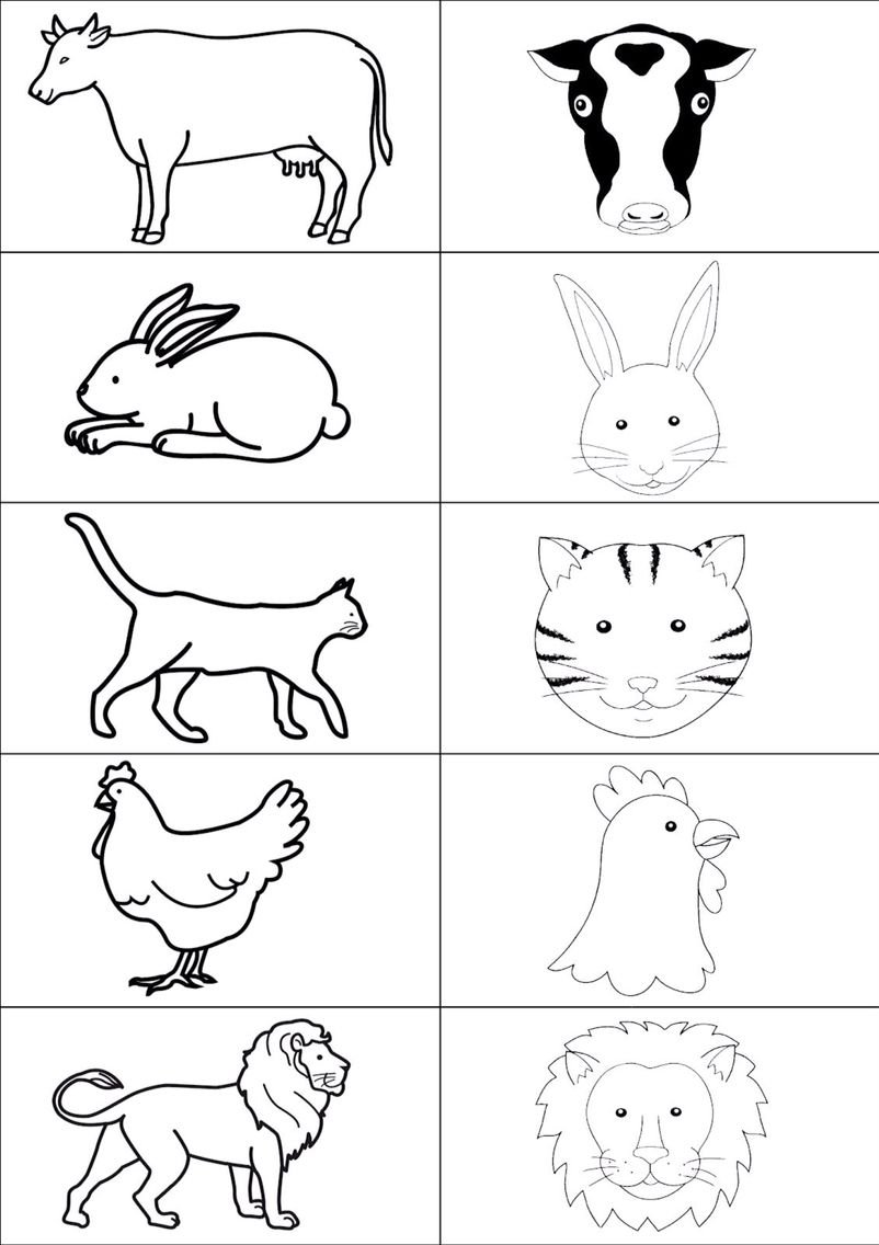 Дорисовать животного