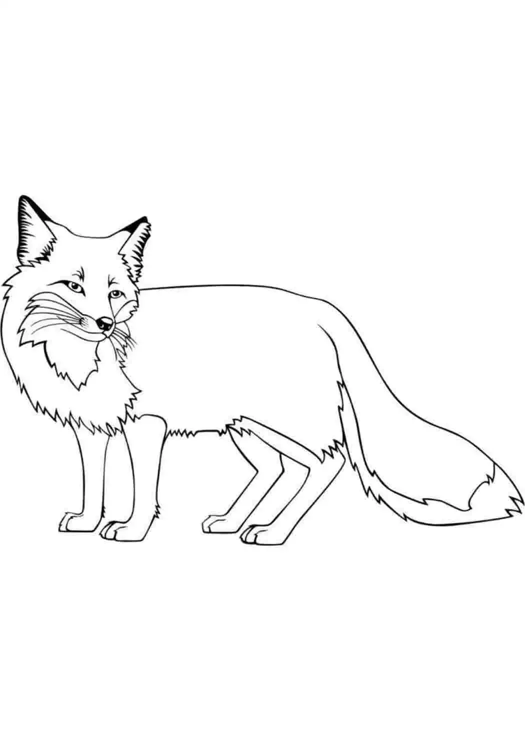 Маленькая Лисичка раскраска