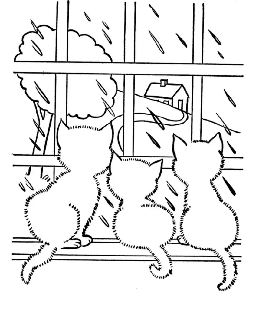 Коты на крыше