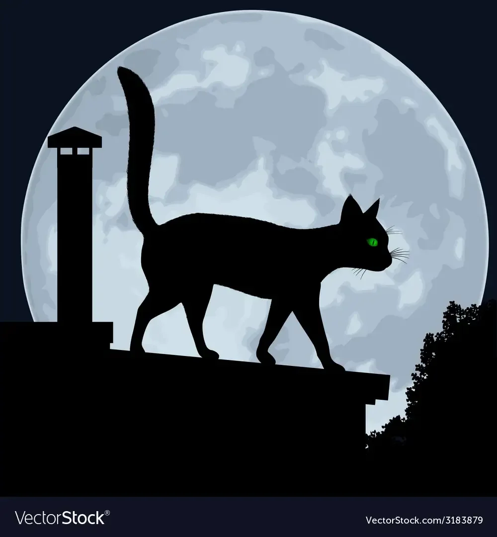 Аппликация коты на крыше