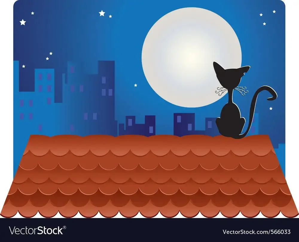 Кот на крыше силуэт