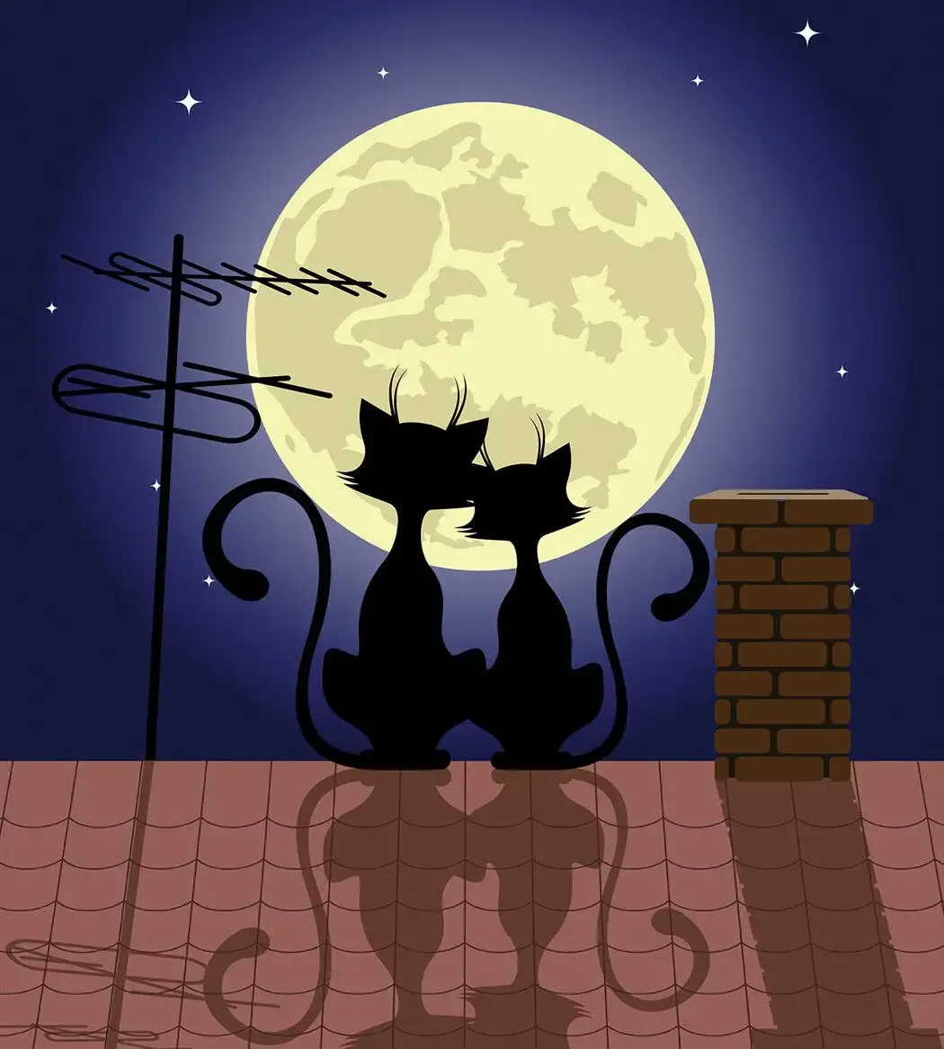 Кошка в доме раскраска