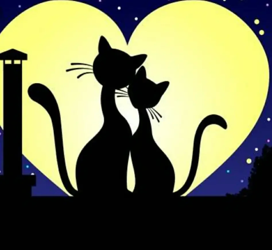 Раскраски Хэллоуинские кошки