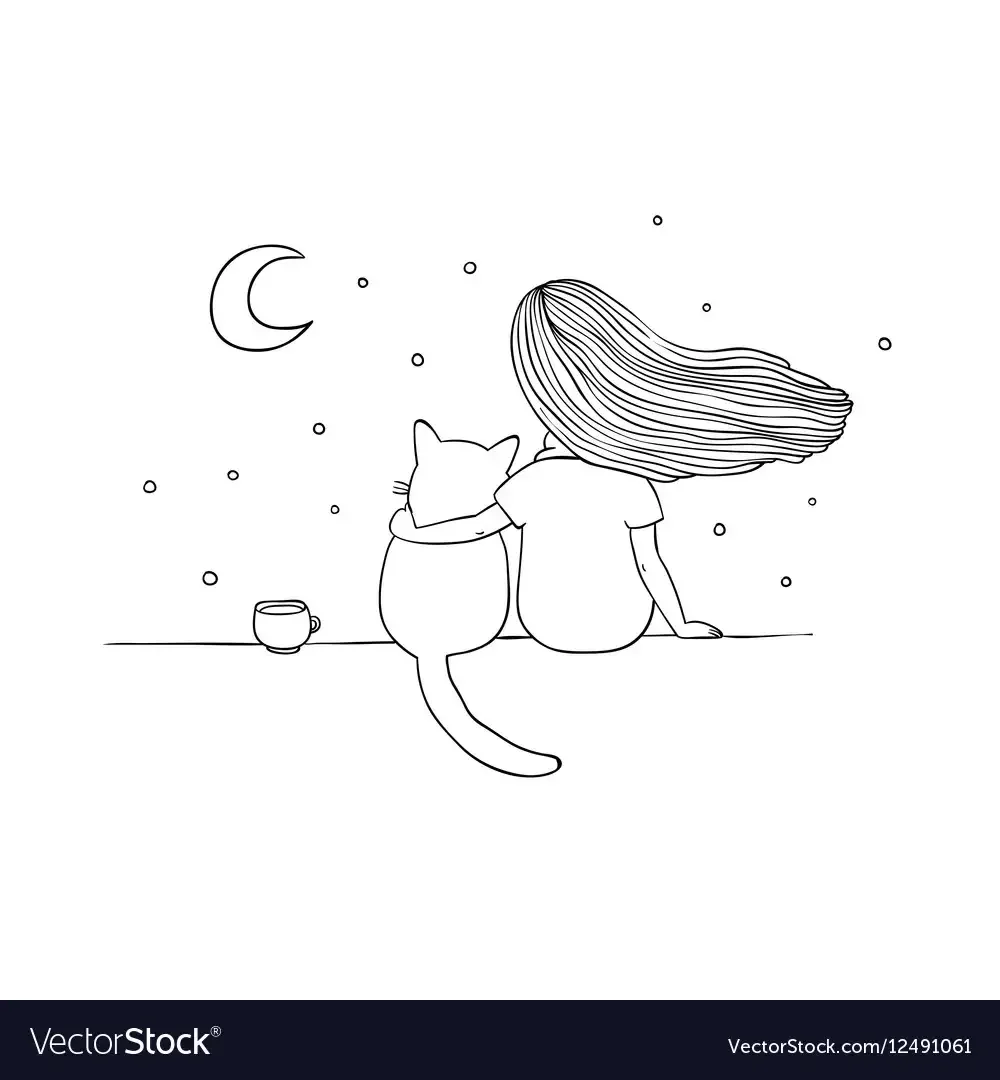 Кот на крыше ночью