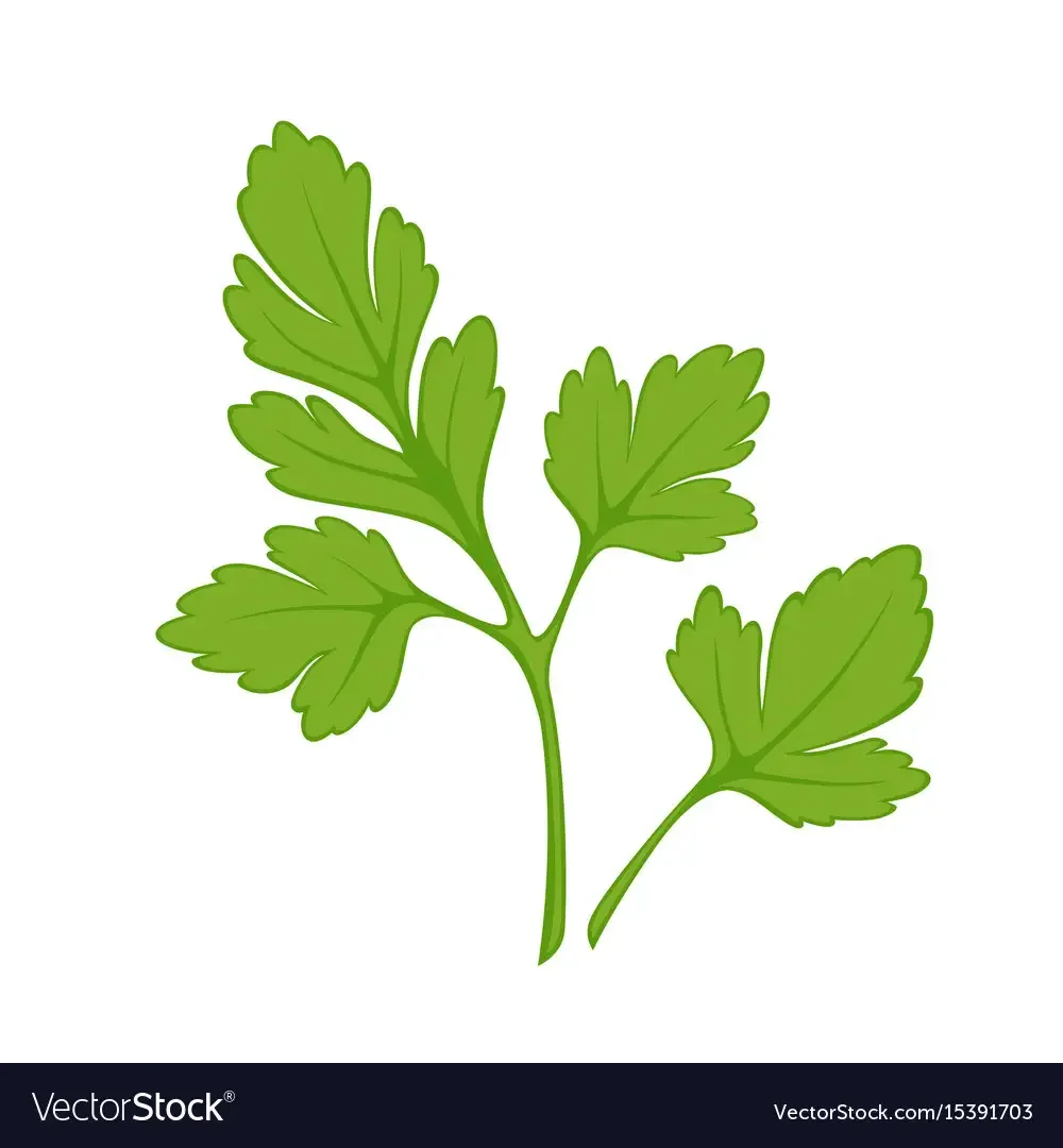 Укроп силуэт