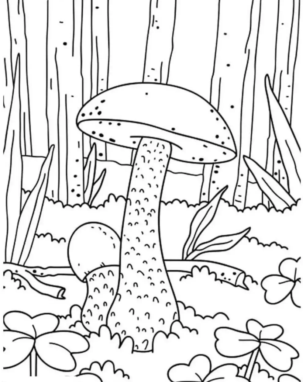 Гриб раскраска