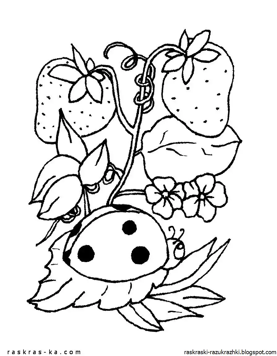 Земляничка раскраска для детей