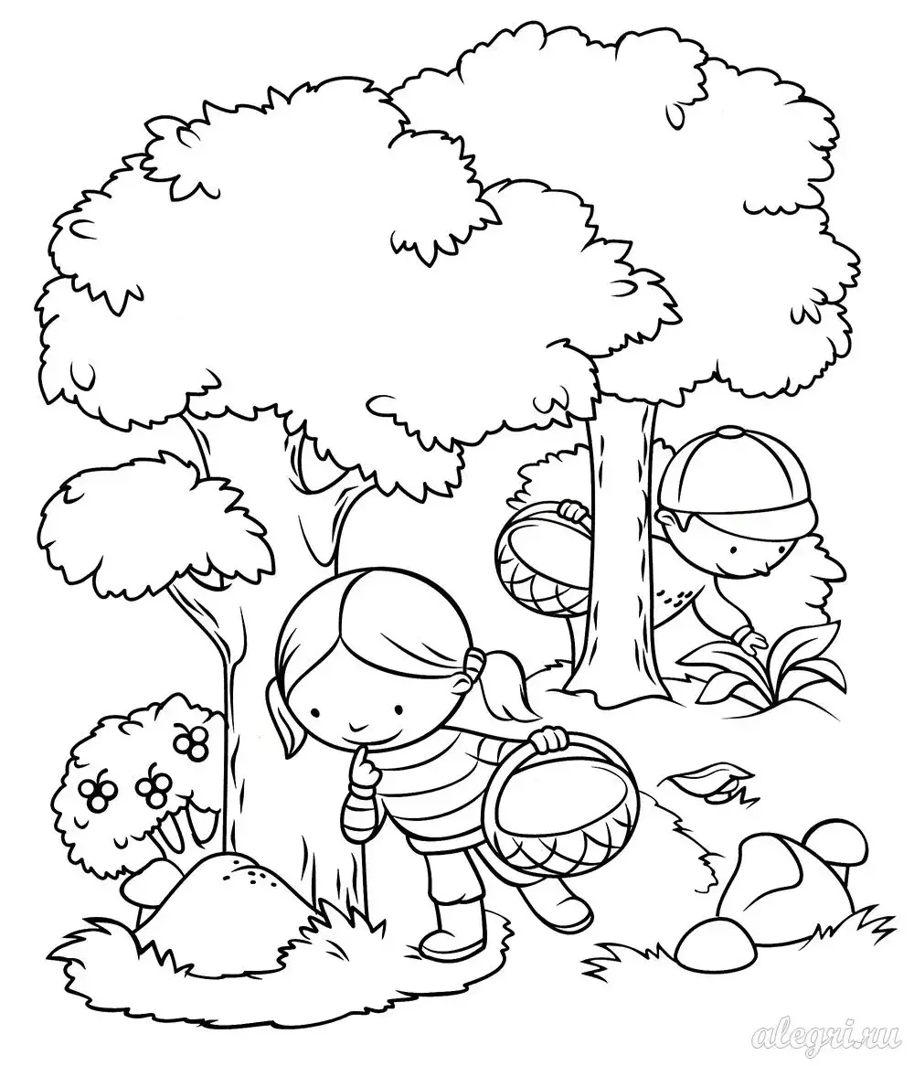 Раскраски для девочек лес